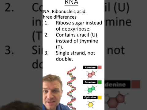 RNA and type