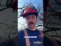 Tree Trimming in Des Moines Near Grand & Ingersoll