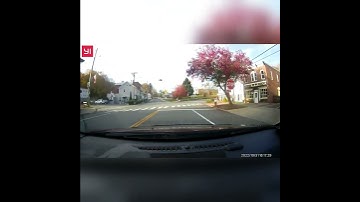 she never looked or even paused at the stop sign...