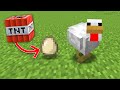 Minecraft, But Eggs Explode Like TNT...