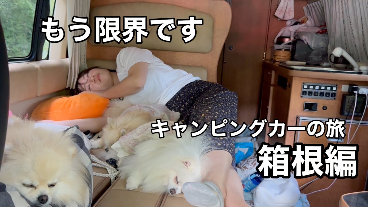 ②【車中泊】愛犬3匹と箱根に行ったらマジでヤバすぎた