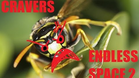 Endless Space 2 - Cravers Gameplay - Episode 1