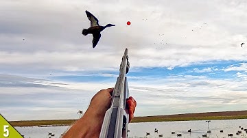 Duck Hunting SHALLOW Water Out of Layout Blinds | 2025 Duck Hunting