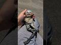 How To Make TERUーTERU BOZU How To Make TERUーTERU BOZU