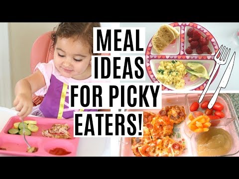 5 Dinner Recipes for 2+ Kids & Toddlers | Kids Lunch Box Recipes Part - 1. 