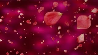 Title Background Video Motion Flower Effect