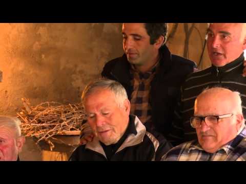 ეთნოფორი • etnopori (გადაცემა ორმოცდამეერთე) 02.12.2015წ.