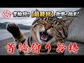 首輪狩り矜持