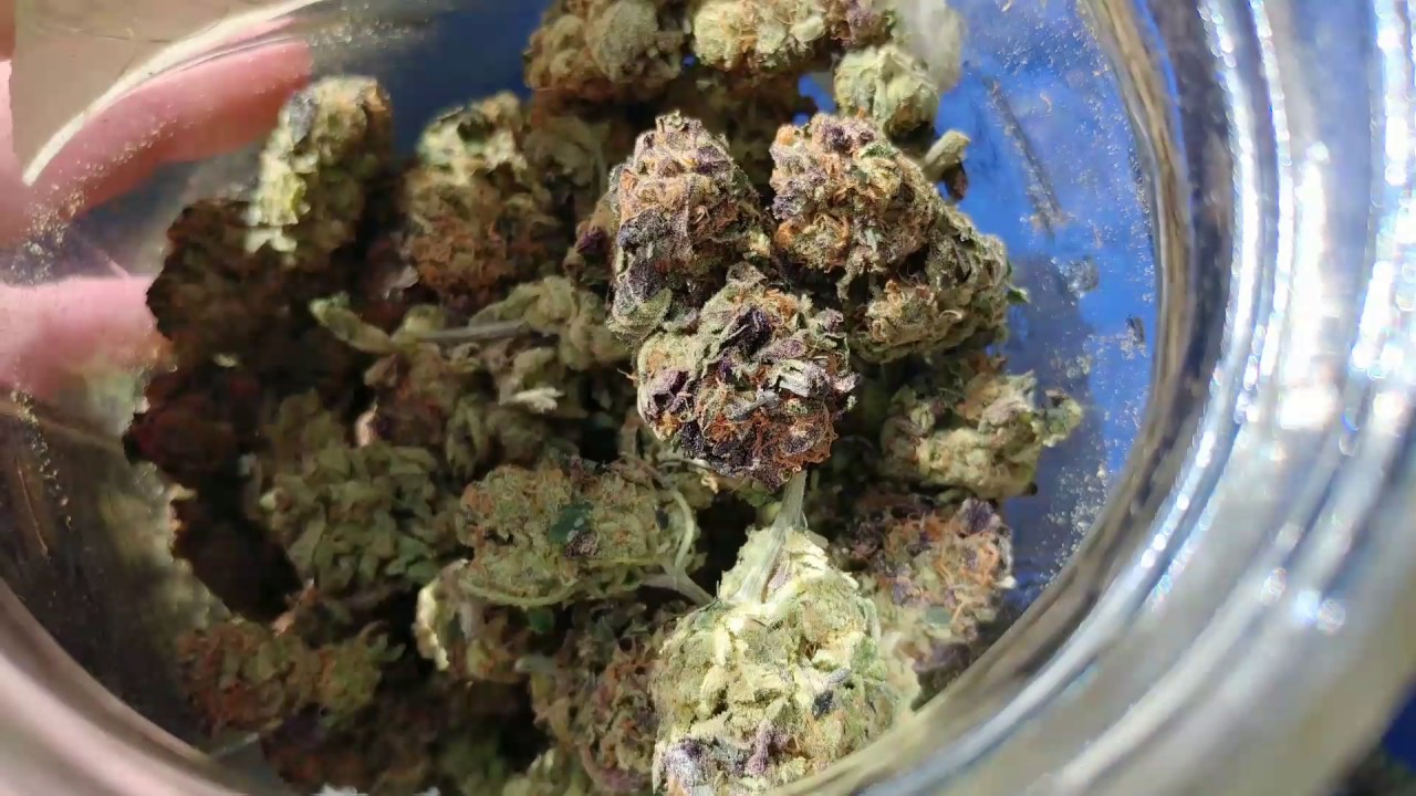 Spectrum king led 600 watt harvest and lab results HAPPY 420!!!