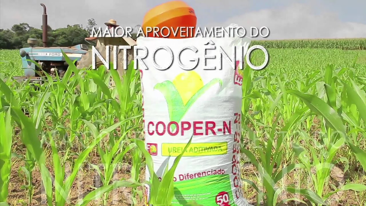 Cooperativismo Em Noticia 08 11 201 YouTube