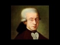 Mozart, piano concerto No. 13 in C major K. 415, 3rd movt - Allegro