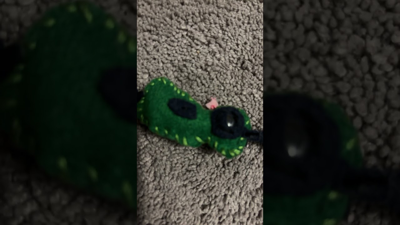 Gir from invader zim… he’s a bit special ig… MY FLASH WONT WORK