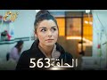 أليف الحلقة 563 دوبلاج عربي 