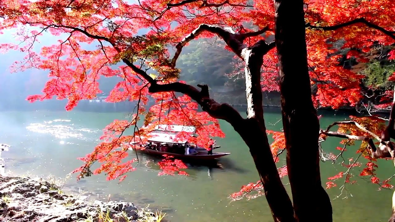 Guarda The Long Road Ahead Beautiful Relaxing Piano Based Music to Sleep, Meditate, Release Tension su YouTube Guarda The Long Road Ahead Beautiful Relaxing Piano Based Music to Sleep, Meditate, Release Tension su YouTube