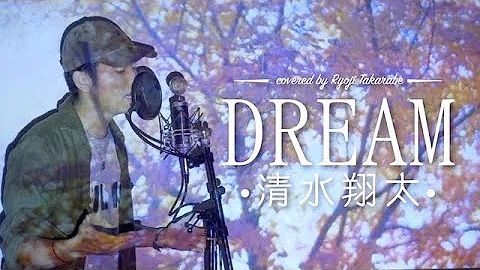 تحميل 清水翔太dream