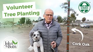 Volunteer Tree Planting | Create A Better Community With Trees (Tree Fresno)