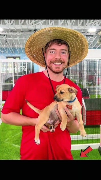 quien es MR BEAST Historia #mrbeast #trend #famosos #foryou #biografia