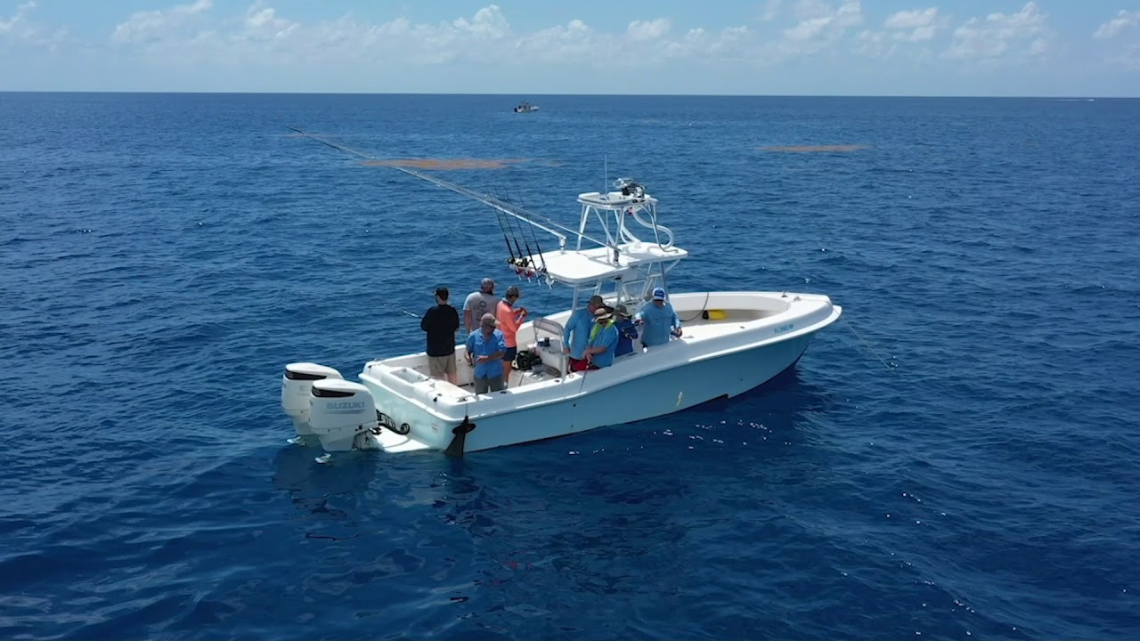 Florida Fishing Adventure: Promo