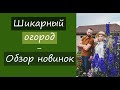 Шикарный огород. Обзор новинок