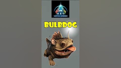bulbdog🐶