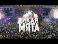 Дикая Мята 2019 – День первый