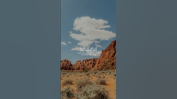 سورة الفتح #زكي_داغستاني |قالب قران كاب كات|quran-capcut-template