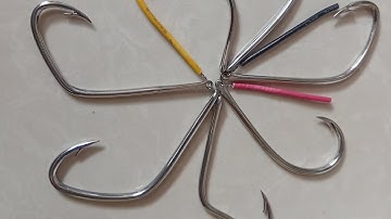 0913.260.614 zalo bán nhấp cá chuối, cá lốc lưỡi câu móng heo, lưỡi ó, số 3,lưỡi trứng rùa lai, 