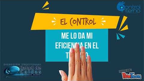 Video Control Interno