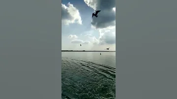 من موسيقى فيلم عريس من جهه أمنية للموسيقار عمرو أبو ذكرى 