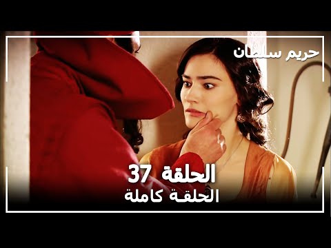 حريم السلطان الحلقة 37 Harem Sultan 