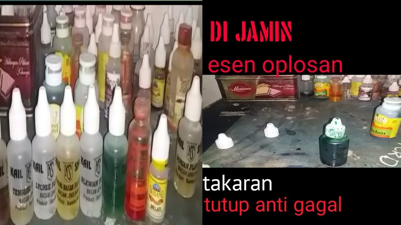 Cara oplos esen untuk ikan mas galatama dan kilo gebrus