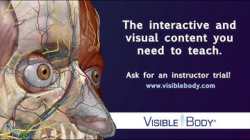 Visible Body | All the 3D content you need