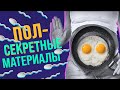 История мужского и женского пола с точки зрения эволюции | Метод Сократа | Спецвыпуск