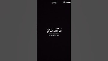 اجر لي ولكم ❤️#سورة_النساء#ياسر_الدوسري