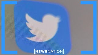 Elon Musk imposes daily limits on reading posts on Twitter | Morning in America