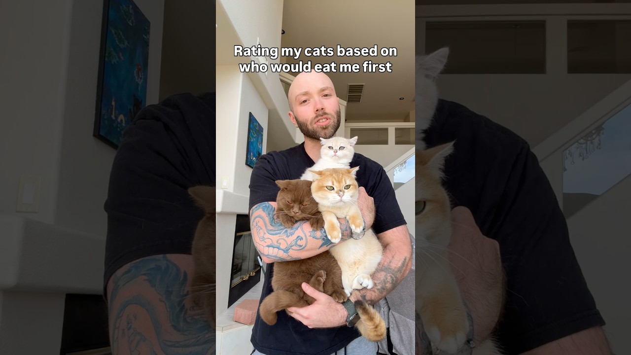 The answer is all of them. They’d all eat me