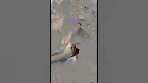 #aaron lee drawing anything