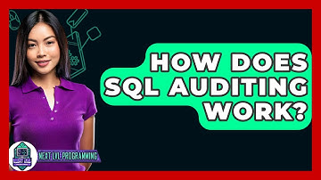 How Does SQL Auditing Work? - Next LVL Programming