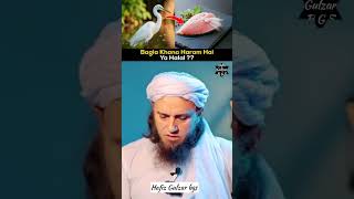 Bagla Khana Halal Hai Ya Haram?😱