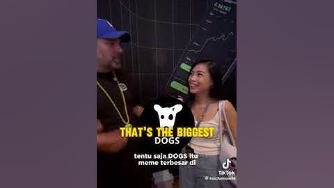 BLUM CEO standing up for  MEMEFI #blum #memefi #crypto