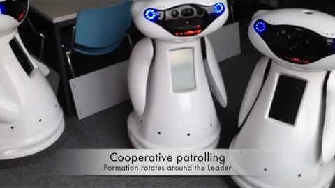 Adaptive Multi-Robot Patrolling