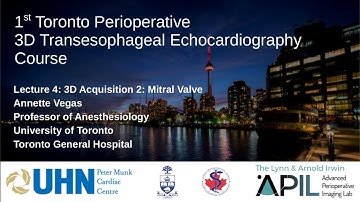 4  Vegas - 2019 - 3D Acquisition:  MV. Toronto Perioperative 3D TEE Course 2019