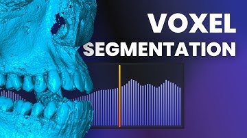 MeshInspector Voxel Segmentation