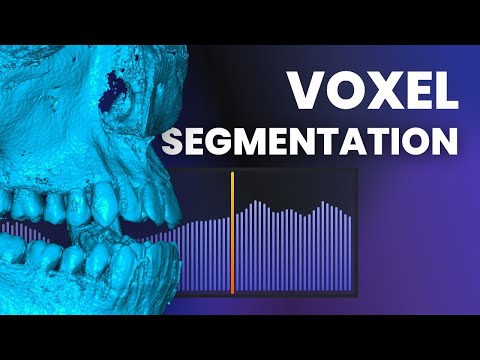 How to Segment Voxel Data (CT/DICOM) | MeshInspector