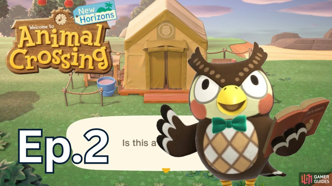 Blathers is Moving In! - Animal Crossing New Horizons Series Episode 2