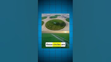 Why Are There Huge Circles on the Ground? 🌾👽