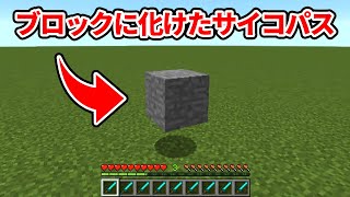 ザコ２匹 vs ブロックに化けたサイコパス【マイクラ】【ネザー要塞編 前編】