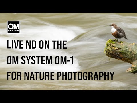 Dipper Photography Utilising the Live ND Mode on OM System OM-1