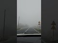 VLOG Обережно, туман 26.03.2024