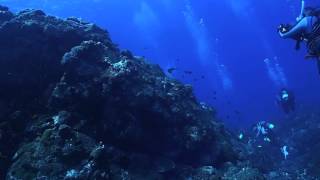 Diving in Mageshima, Part 1, AQUA Tanegashima diving tour 2015